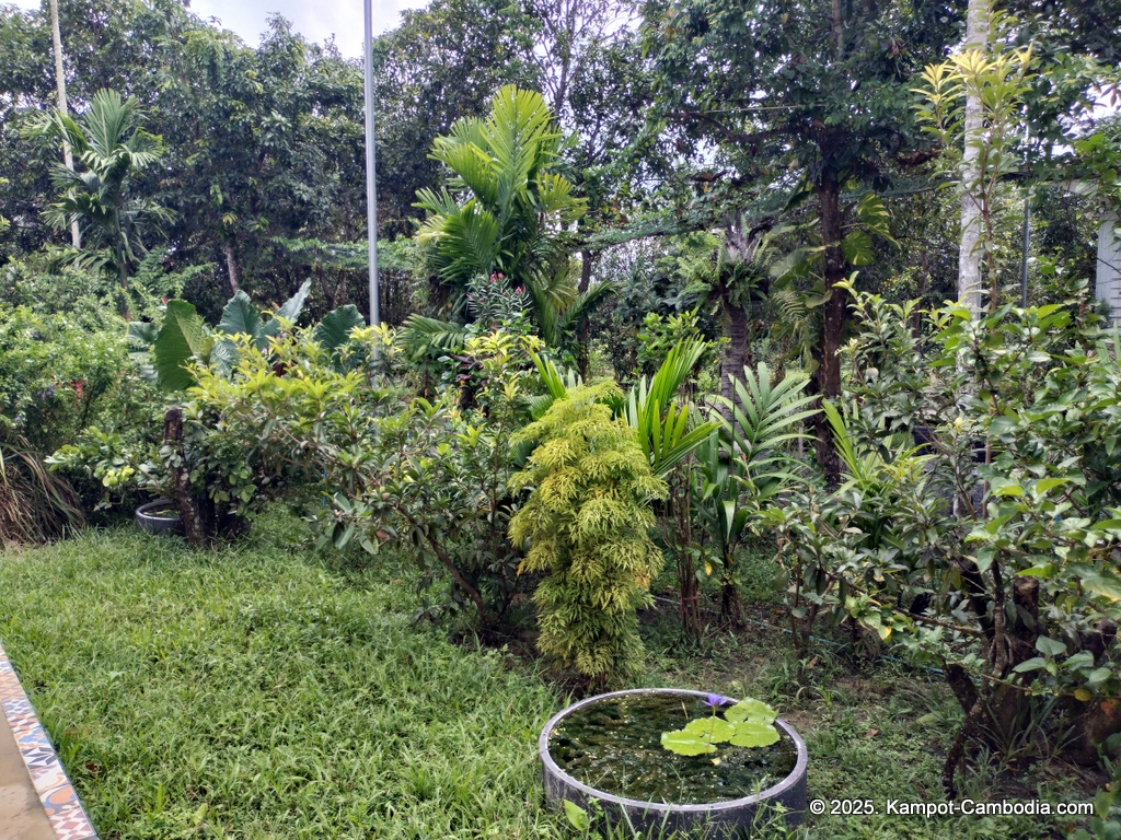 Queen Island resort in Kampot, Cambodia. Island resort.