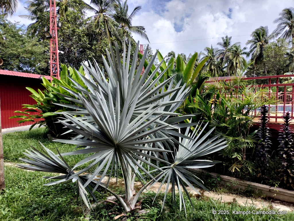 Queen Island resort in Kampot, Cambodia. Island resort.