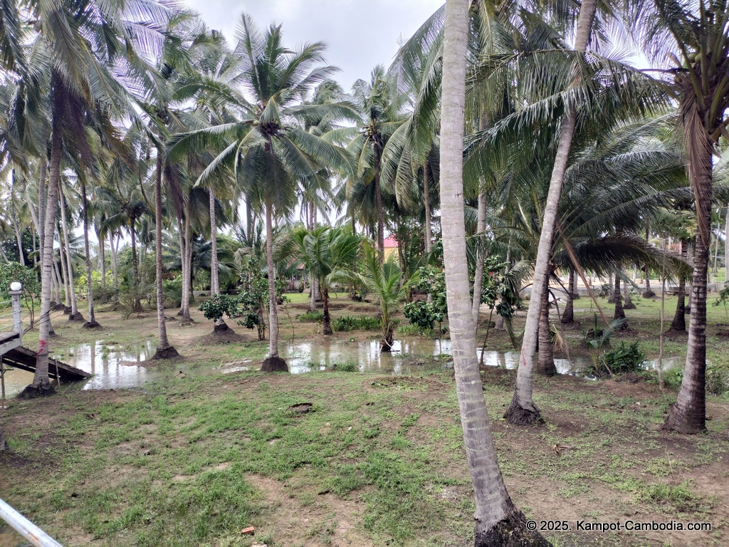 Queen Island resort in Kampot, Cambodia. Island resort.