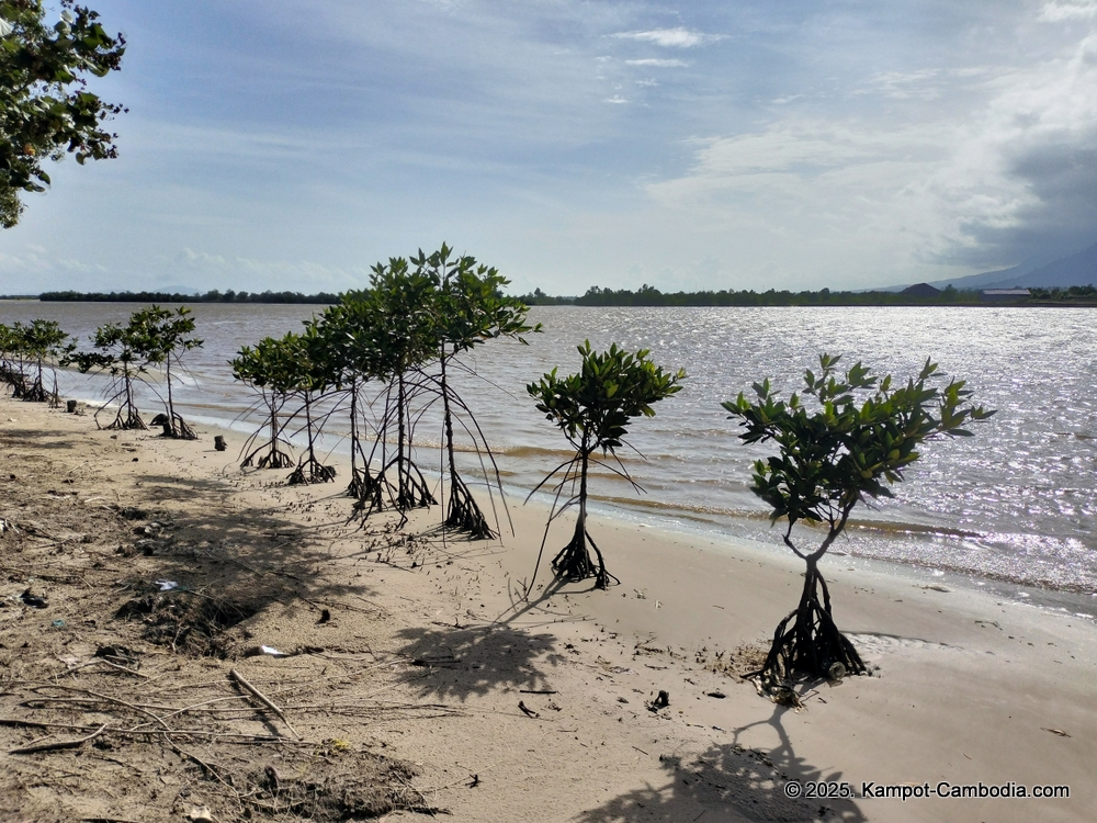 Phesamout Camping on fish island in Kampot, Cambodia.