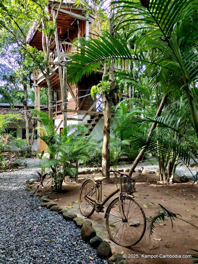 sabay beach kampot hotel in cambodia