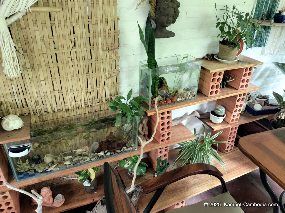 Derm Svay Guesthouse, restaurant, and yoga in Kampot, Cambodia