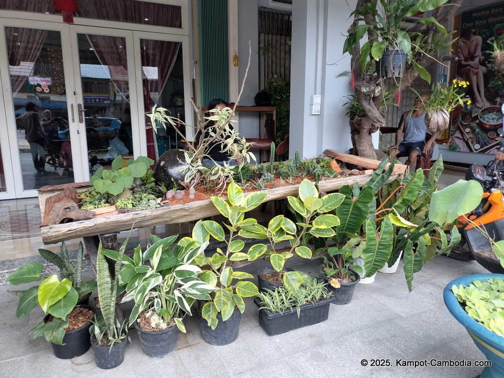 Home spa & salon day spa wellness center in Kampot, Cambodia