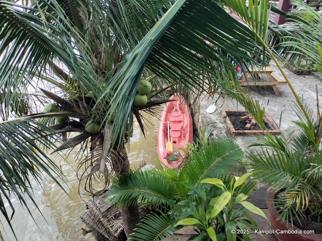 arcadia backpacker guesthouse and dorm in Kampot cambodia