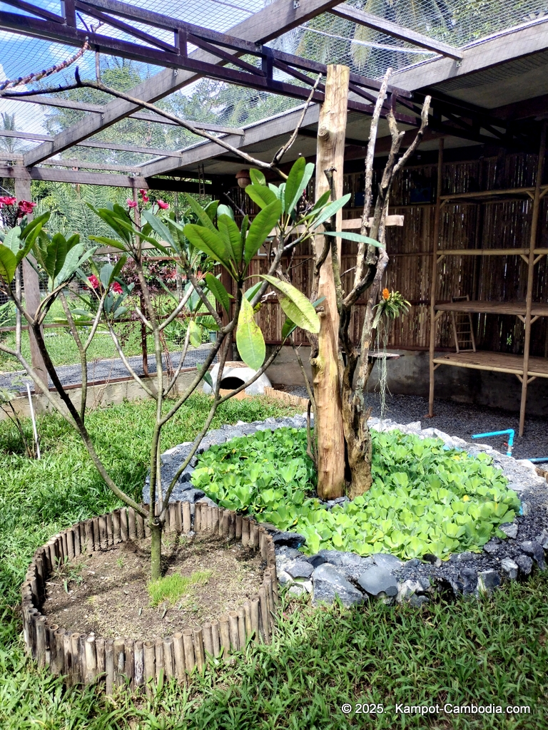 Queen Island resort in Kampot, Cambodia. Island resort.