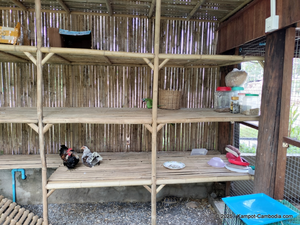 Queen Island resort in Kampot, Cambodia. Island resort.