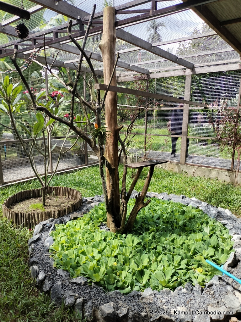 Queen Island resort in Kampot, Cambodia. Island resort.