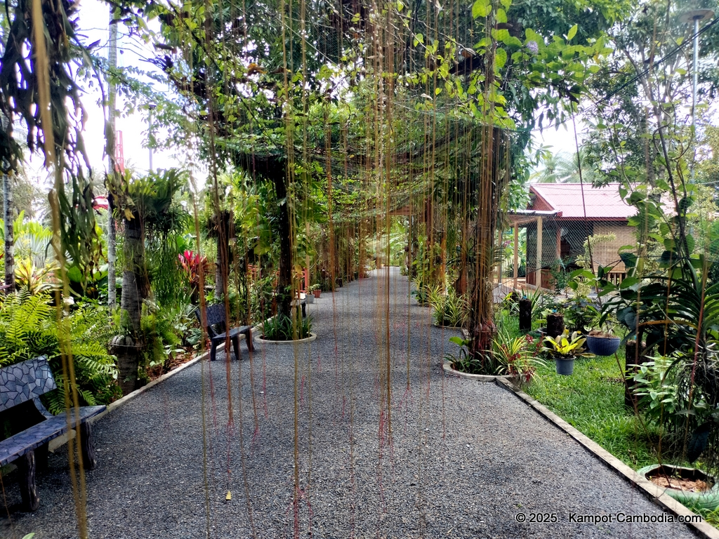 Queen Island resort in Kampot, Cambodia. Island resort.