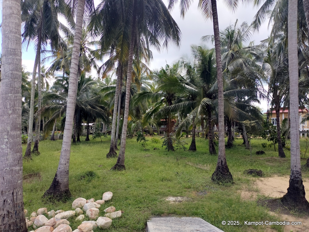 Queen Island resort in Kampot, Cambodia. Island resort.
