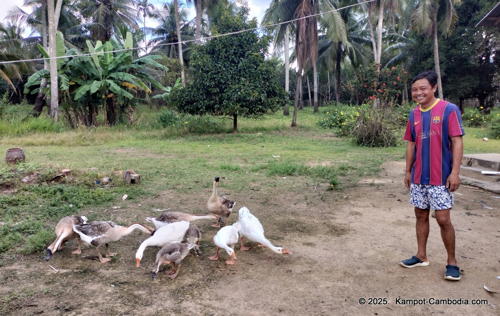 Queen Island resort in Kampot, Cambodia. Island resort.