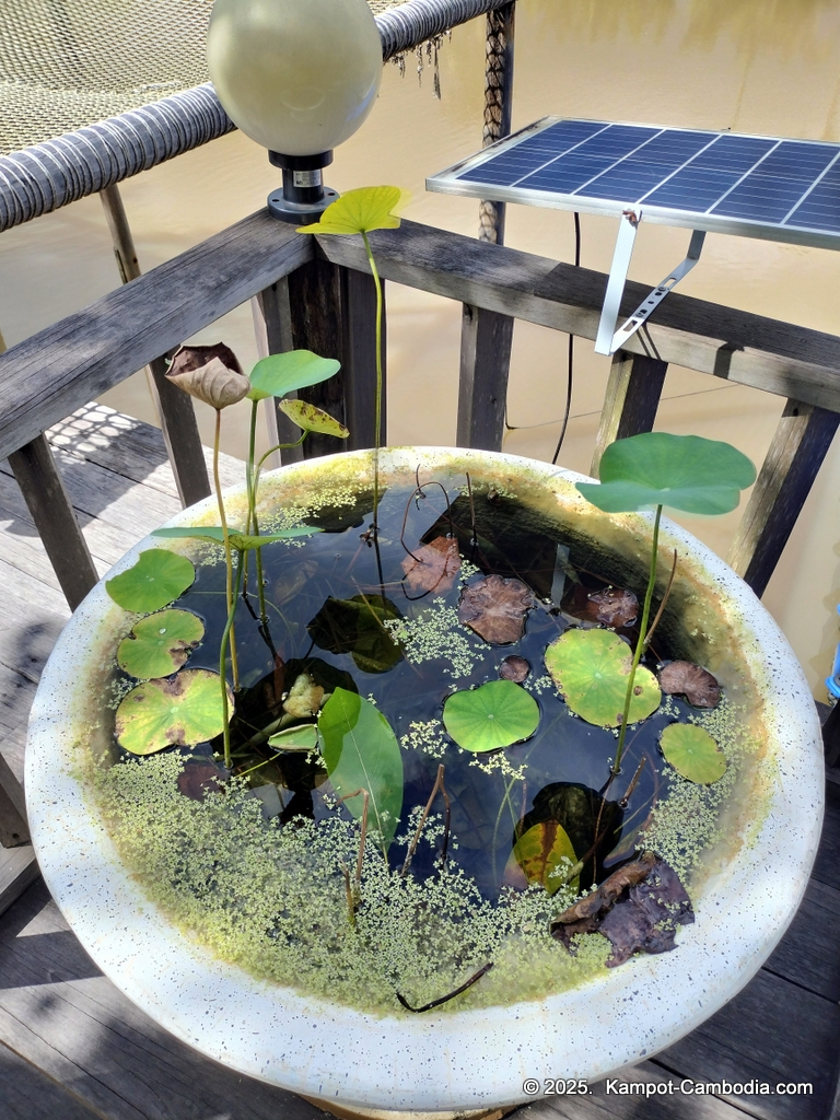 Queen Island resort in Kampot, Cambodia. Island resort.