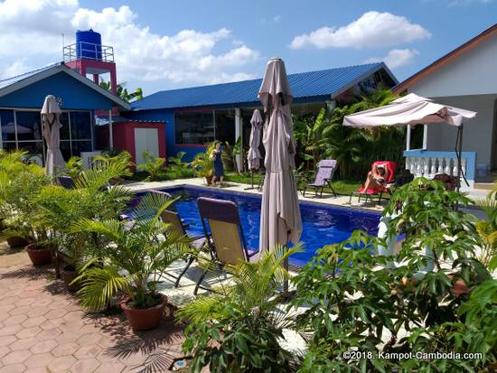 orchid bokor in Kampot, cambodia