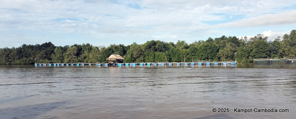 Trapeang Sangkae mangrove in kampot cambodia. boats and rooms.