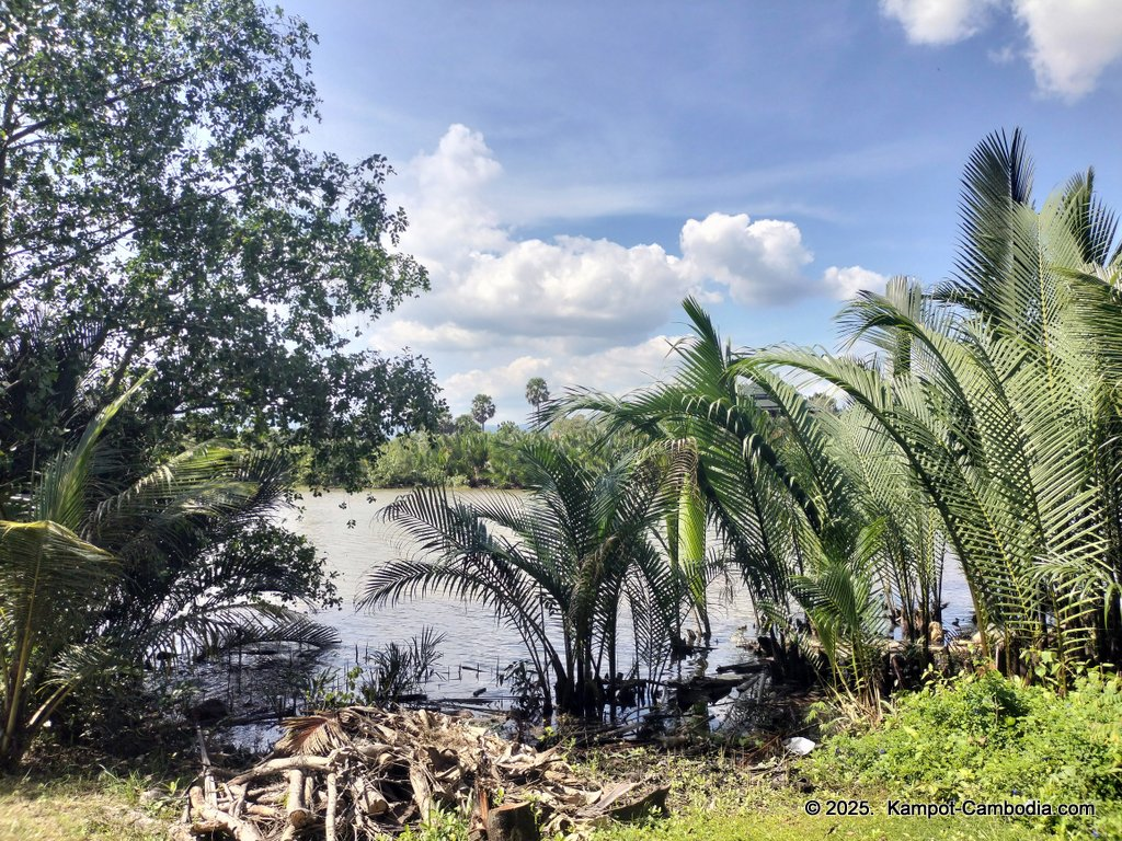 Shanti Shanti Indian restaurant and yoga in Kampot, Cambodia