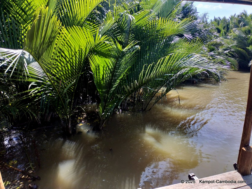 Shanti Shanti Indian restaurant and yoga in Kampot, Cambodia