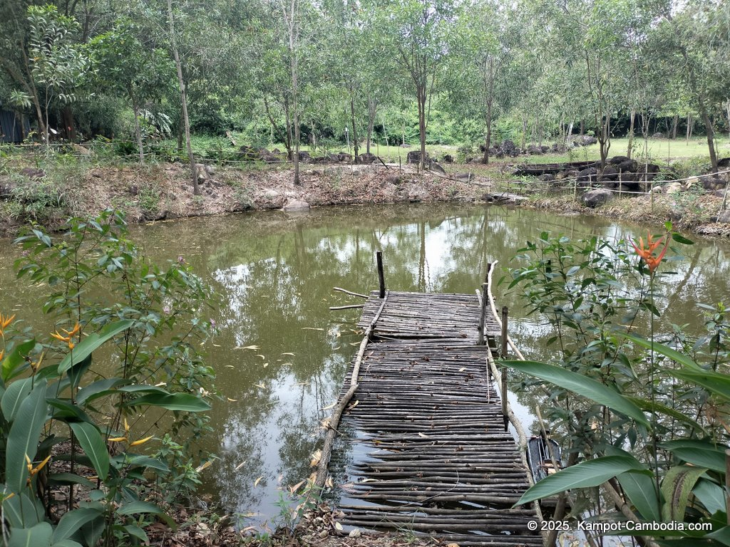 kampot camping in kampot cambodia