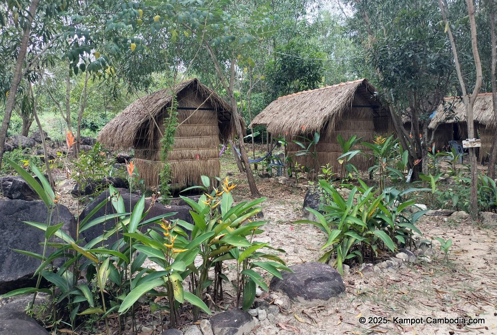 kampot camping in kampot cambodia