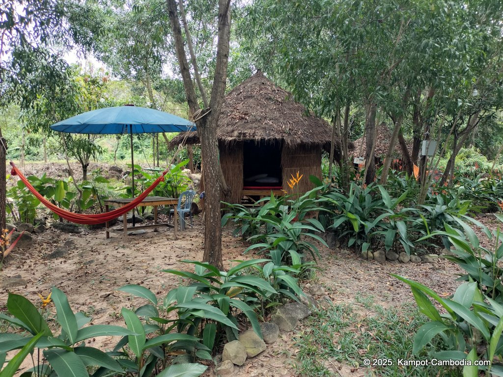 kampot camping in kampot cambodia