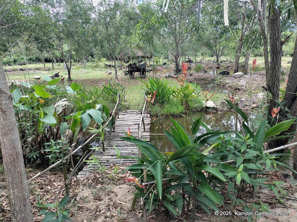 kampot camping in kampot cambodia