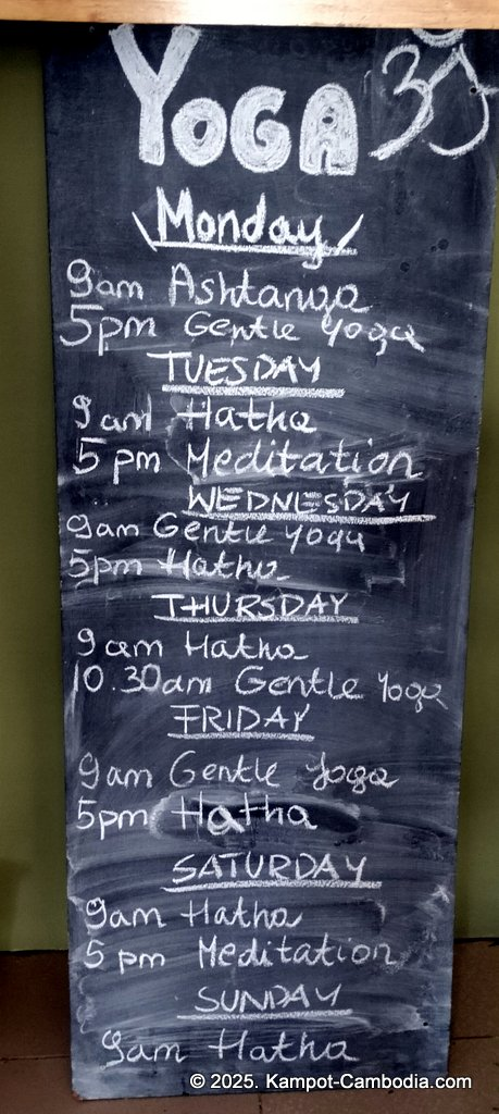 blend house coffee in kampot cambodia. yoga