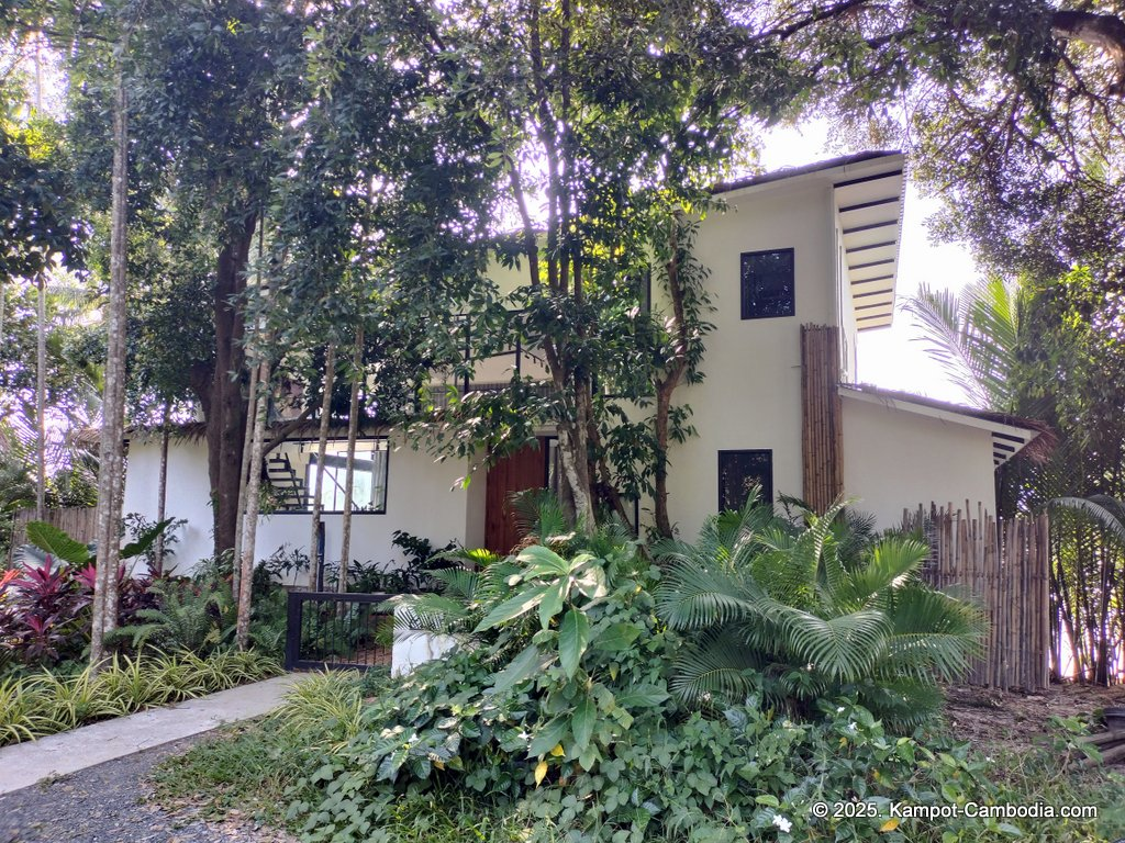 daya villa in kampot cambodia