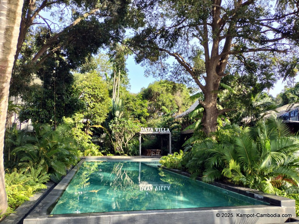 daya villa in kampot cambodia