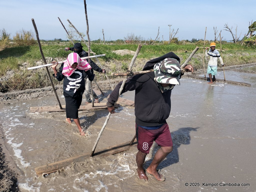 salt fields in kampot cambodia