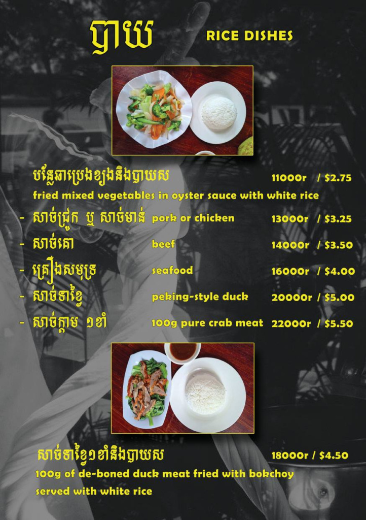 ecran noodles and home made dumplings, peking duck, chinese noodle soup, in kampot cambodia