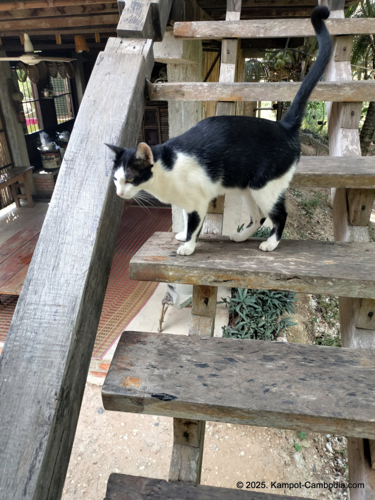 Banteay Srey Women's only Traditional Spa and Homestay in Kampot, Cambodia