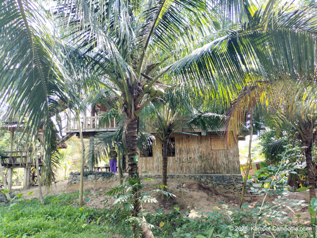 Banteay Srey Women's only Traditional Spa and Homestay in Kampot, Cambodia