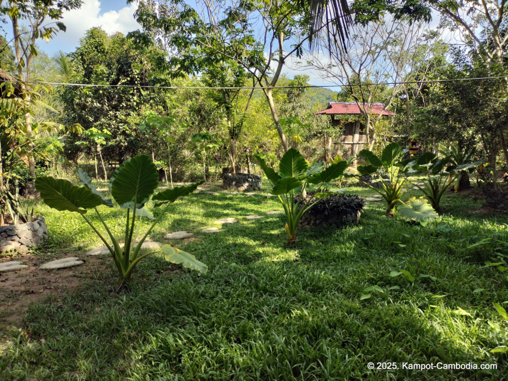 Banteay Srey Women's only Traditional Spa and Homestay in Kampot, Cambodia