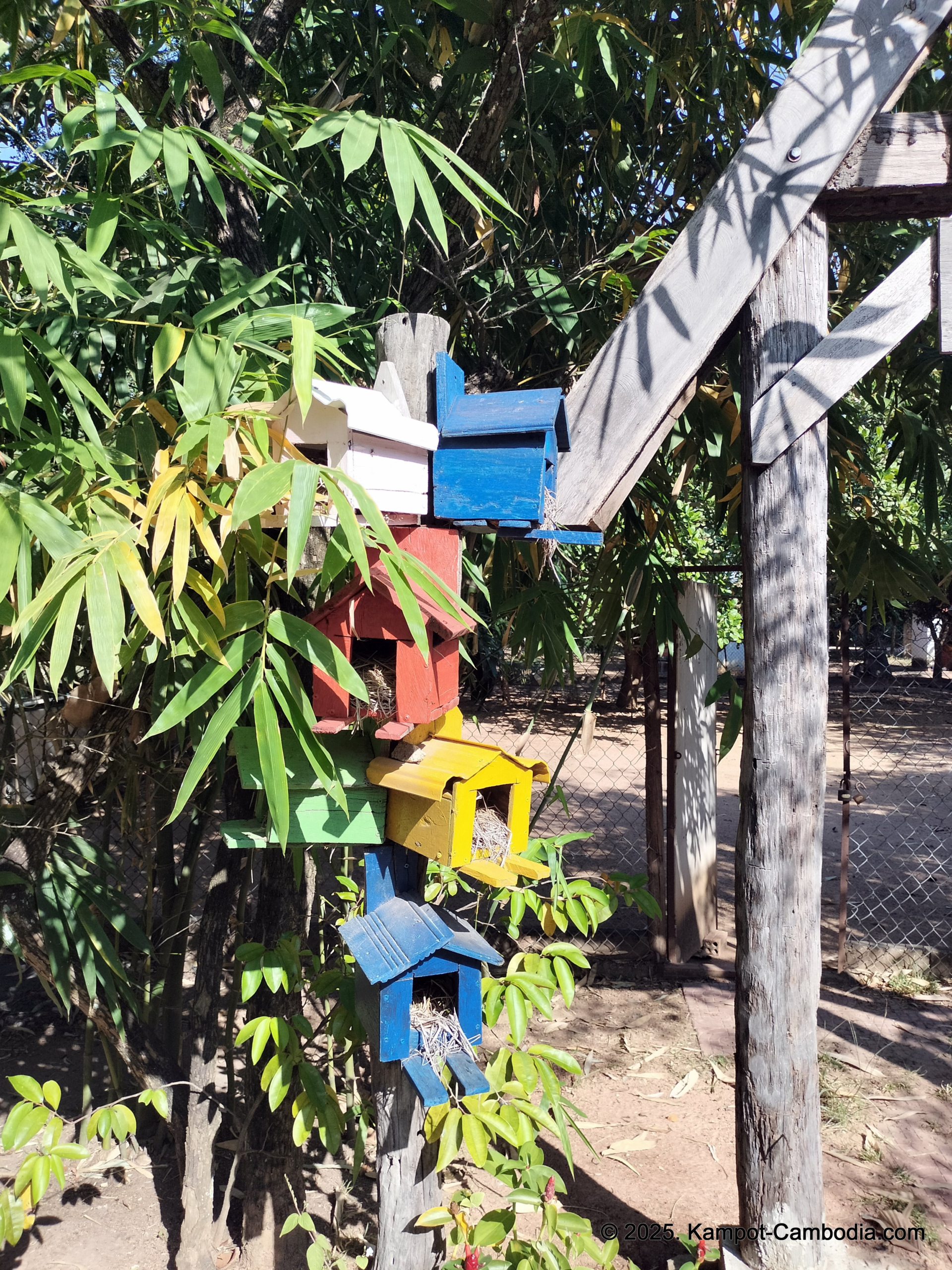 phum chas cafe restaurant in kampot cambodia