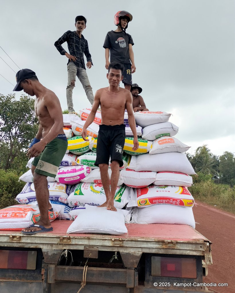 salt fields in kampot cambodia