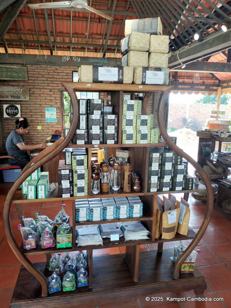 bo tree pepper farm in kampot cambodia