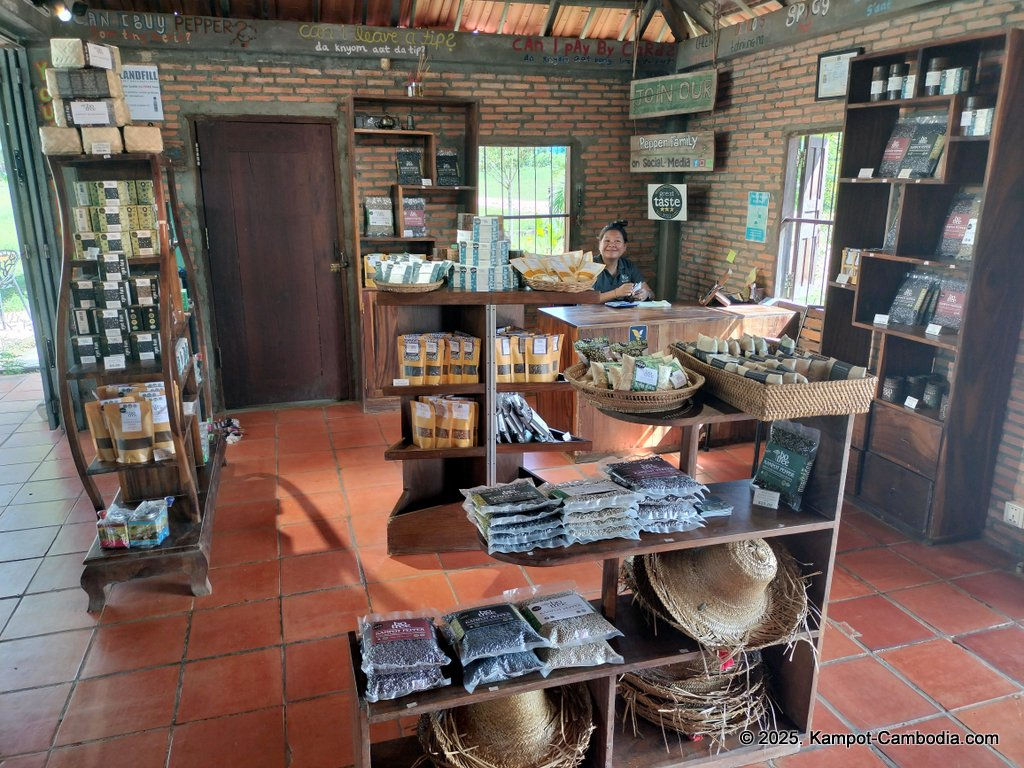 bo tree pepper farm in kampot cambodia