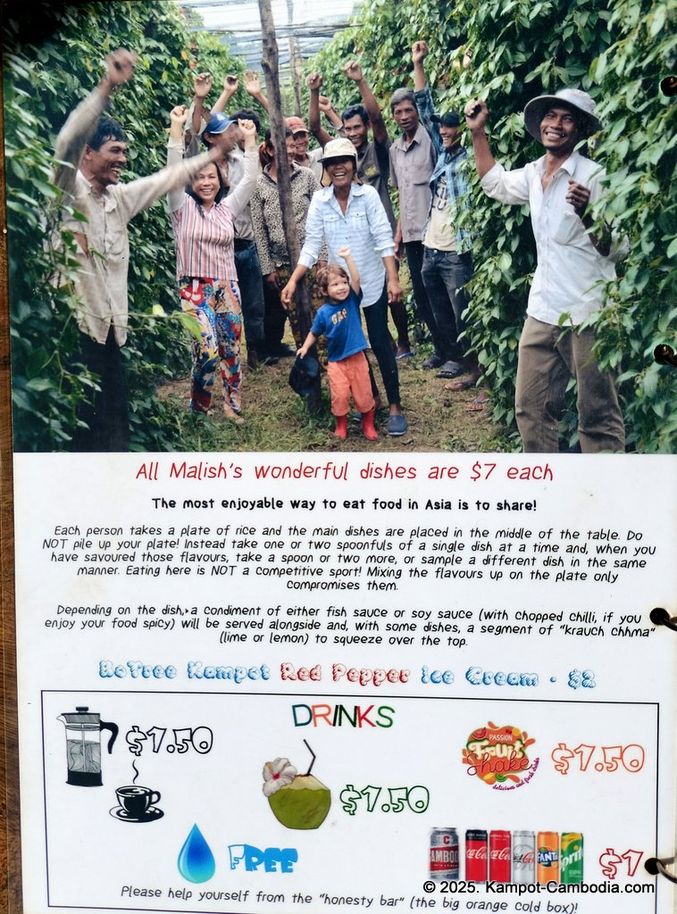 bo tree pepper farm in kampot cambodia