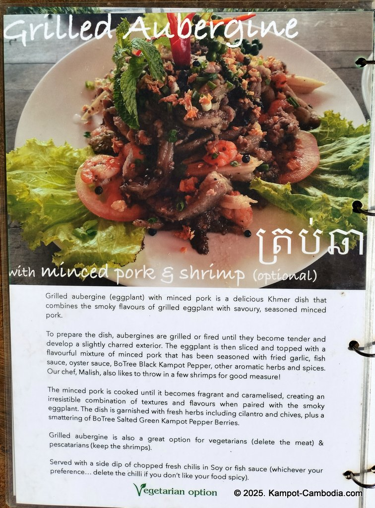 bo tree pepper farm in kampot cambodia