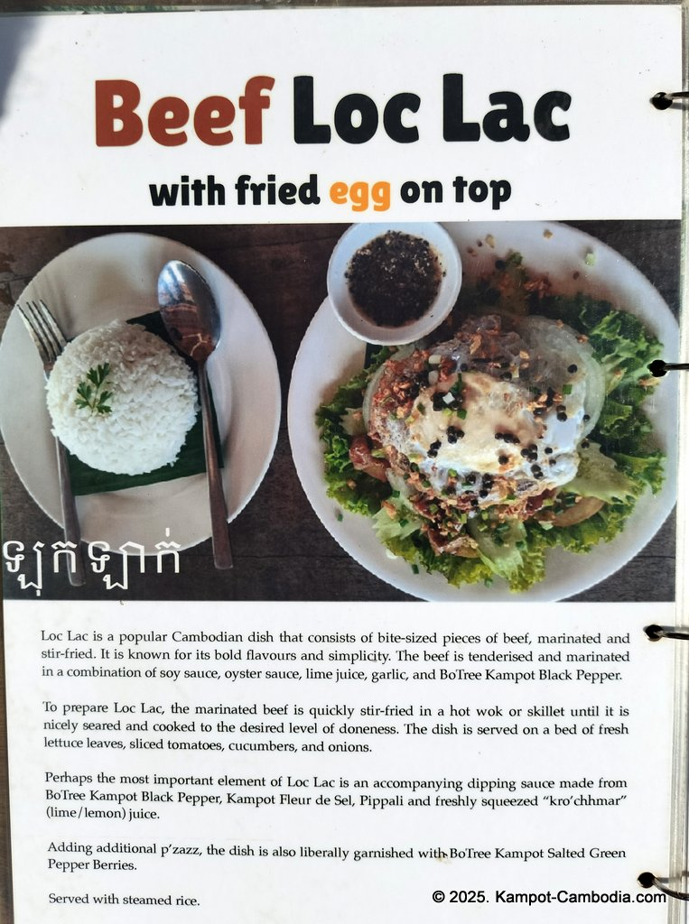 bo tree pepper farm in kampot cambodia