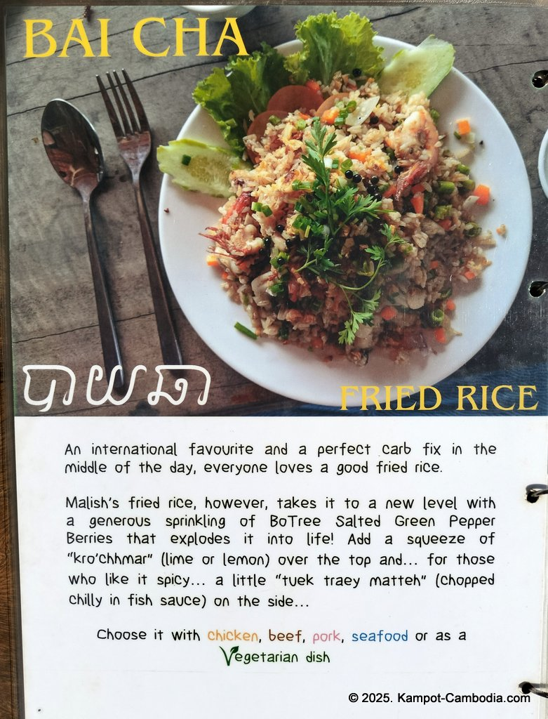 bo tree pepper farm in kampot cambodia