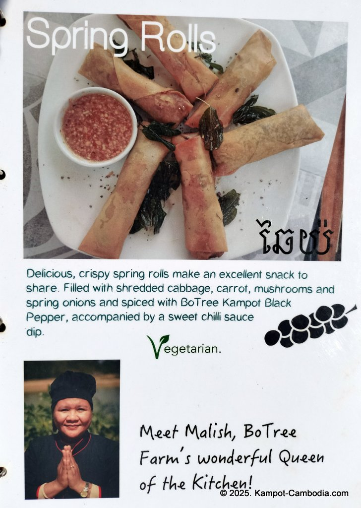 bo tree pepper farm in kampot cambodia