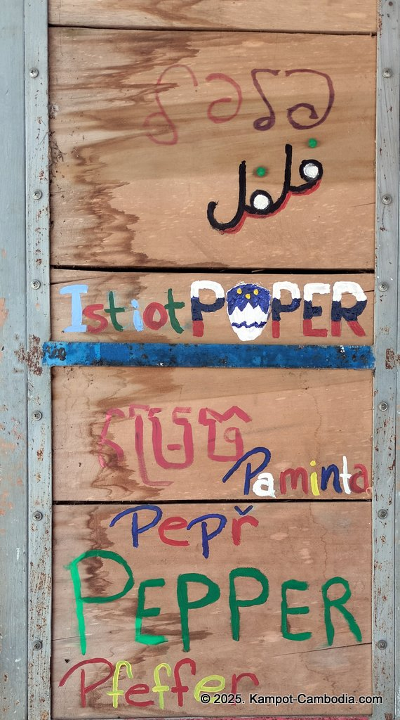 bo tree pepper farm in kampot cambodia