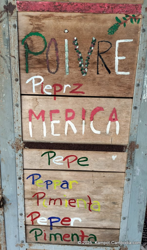 bo tree pepper farm in kampot cambodia