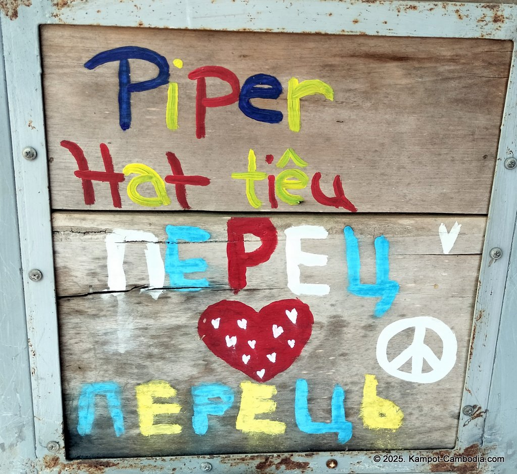 bo tree pepper farm in kampot cambodia