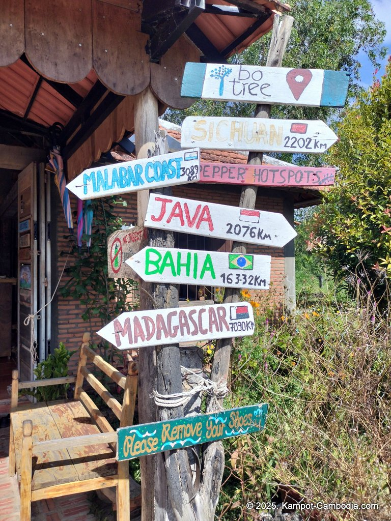 bo tree pepper farm in kampot cambodia