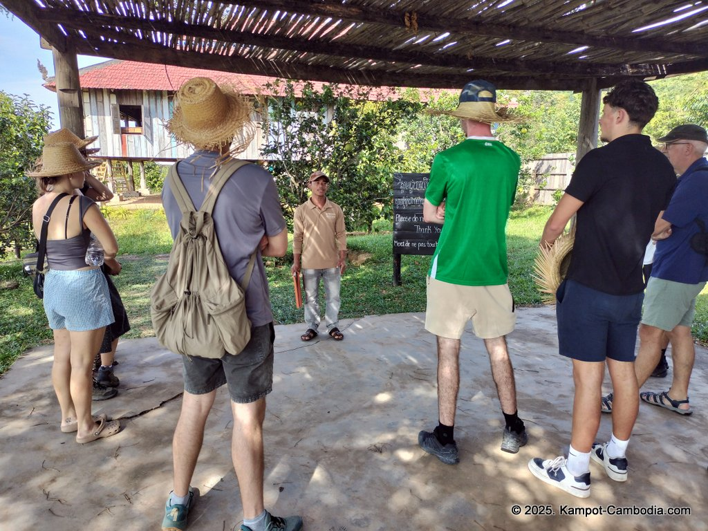 La Plantation Kampot Pepper farm in kampot cambodia. Pepper farm tours, cooking school, free tours.