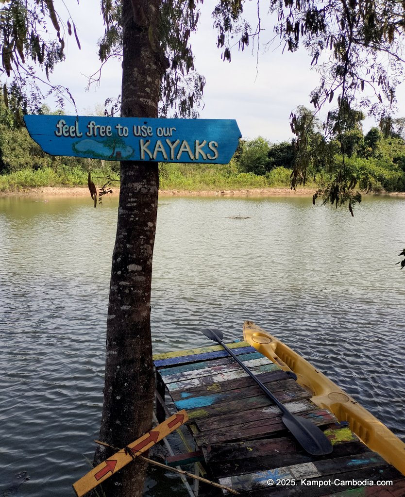 bo tree pepper farm in kampot cambodia