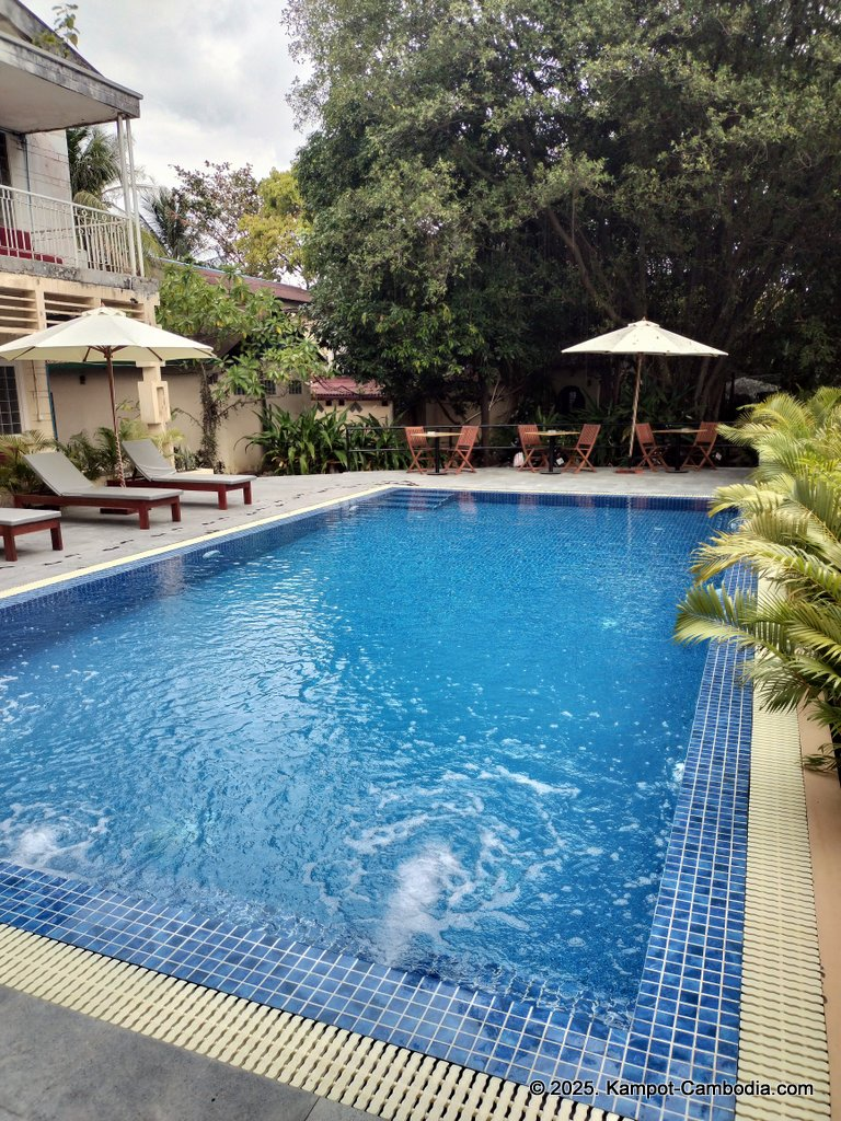 monkey republic in kampot cambodia