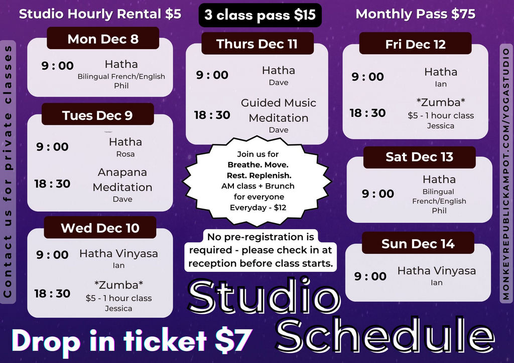 monkey republic in kampot cambodia