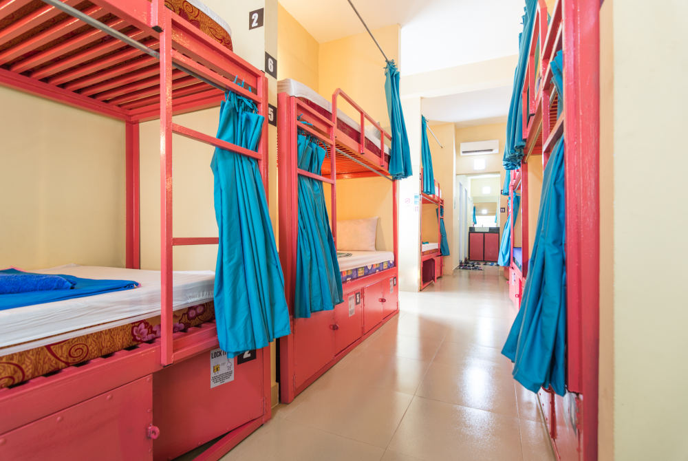 monkey republic in kampot cambodia