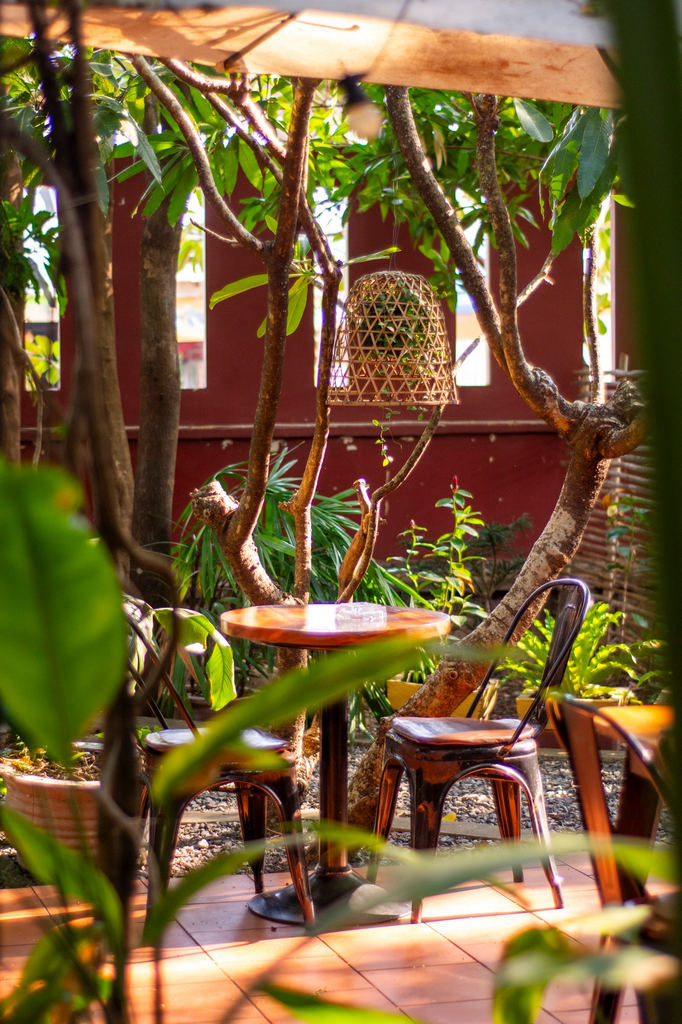 monkey republic in kampot cambodia